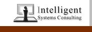 Intelligent Systems Consulting